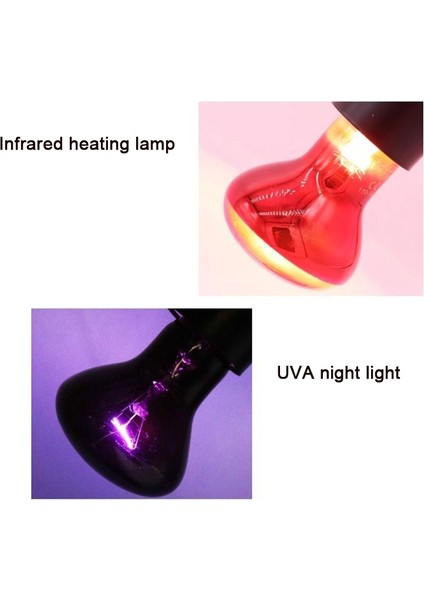 MOR-100W Stili Sürüngen Isıtma Kuzu Amfibi Kuş Yılan Kuzu Kırmızı Işık Gece Kertenkele Kaplumbağalar Için Sıcak Isıtma Yalıtım Lambası Hayvan Aydınlatma (Yurt Dışından) fırsatları