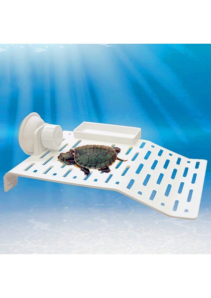 L Tarzı Sucul Sürüngen Basking Platform Kaplumbağa Rampa Teras Yüzen Ada Kaplumbağa Habitatı Vantuzlu Островки Для Черепах (Yurt Dışından)