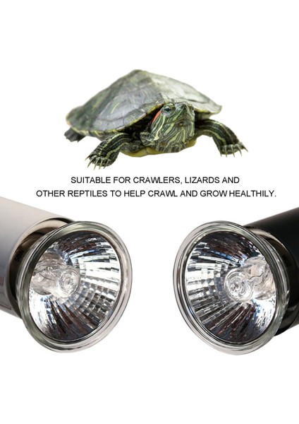 50W Tarzı Uva+Uvb 3.0 Sürüngen Lamba Ampulü Kaplumbağa Basking Uv Ampuller Isıtma Lambası Amfibiler Kertenkeleler Sıcaklık Kontrol Cihazı (Yurt Dışından) modelleri