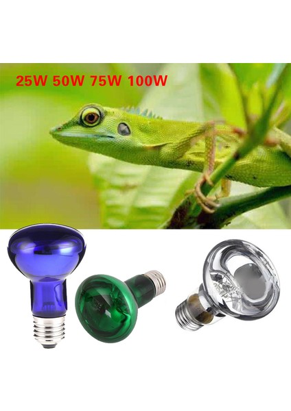 YEŞIL-75W Tarzı Pet Accessaries Sürüngen Isıtma Lambaları Gündüz Gece Amfibi Kuş Yılan Basking Lamba Ampul Isı Sürüngen (Yurt Dışından) indirimleri