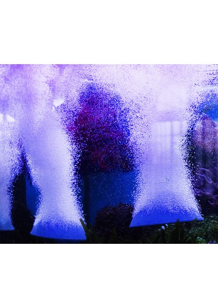 Ekmek Hava Taşı 6cm Tarzı 1 Ünite Sıcak Kabarcık Disk Hava Taş. Akvaryum Balık Tankı Için Hava Kabarcık Taş Havalandırıcı Hava Pompası Hidroponik Oksijen Plakası Akvaryum Aksesuarları (Yurt Dışından) modelleri