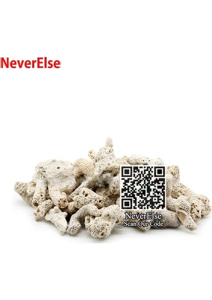 Mercan Kemiği Stili Lot Başına 200 Gram 200G Doğal Resif Mercan Kemik Akvaryum Filtresi Ph Sabit, Akvaryum Balıkları Tankı Filtrasyonu Için Orta Biyolojik Malzeme Mercan Kumları (Yurt Dışından)