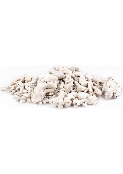 Mercan Kemiği Stili Lot Başına 200 Gram 200G Doğal Resif Mercan Kemik Akvaryum Filtresi Ph Sabit, Akvaryum Balıkları Tankı Filtrasyonu Için Orta Biyolojik Malzeme Mercan Kumları (Yurt Dışından)