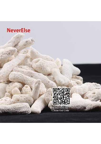 Mercan Kemiği Stili Lot Başına 200 Gram 200G Doğal Resif Mercan Kemik Akvaryum Filtresi Ph Sabit, Akvaryum Balıkları Tankı Filtrasyonu Için Orta Biyolojik Malzeme Mercan Kumları (Yurt Dışından)