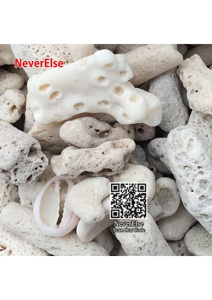 Mercan Kemiği Stili Lot Başına 200 Gram 200G Doğal Resif Mercan Kemik Akvaryum Filtresi Ph Sabit, Akvaryum Balıkları Tankı Filtrasyonu Için Orta Biyolojik Malzeme Mercan Kumları (Yurt Dışından)