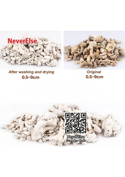 Mercan Kemiği Stili Lot Başına 200 Gram 200G Doğal Resif Mercan Kemik Akvaryum Filtresi Ph Sabit, Akvaryum Balıkları Tankı Filtrasyonu Için Orta Biyolojik Malzeme Mercan Kumları (Yurt Dışından)