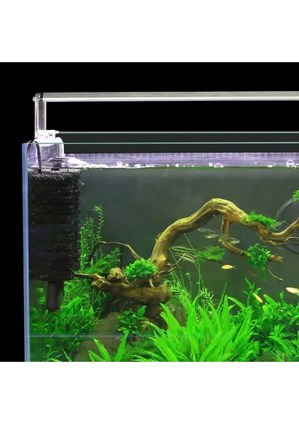 No.2 Tarzı Pratik Akvaryum Dalgıç Filtre Pompası Çift Biyokimyasal Sünger Balık Tankı Hava Pompası Skimmer Ekipmanları Su Cir Dropship Için (Yurt Dışından) fırsatları