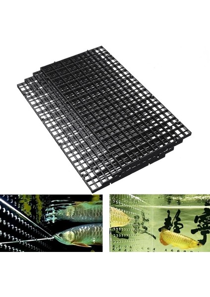 Siyah Klipler Stili Tek Boyut Yeni Akvaryum Filtresi Alt Izole Bölme Balığı Dayanıklı Plastik Bölme Izgarası Balık Izgarası Bölücü Tutucu Net Balık Tankı Bölücü Ağları (Yurt Dışından) fiyatları
