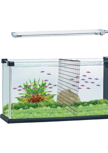 Siyah Klipler Stili Tek Boyut Yeni Akvaryum Filtresi Alt Izole Bölme Balığı Dayanıklı Plastik Bölme Izgarası Balık Izgarası Bölücü Tutucu Net Balık Tankı Bölücü Ağları (Yurt Dışından) modelleri