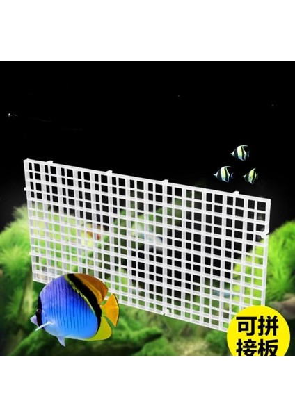 Siyah Klipler Stili Tek Boyut Yeni Akvaryum Filtresi Alt Izole Bölme Balığı Dayanıklı Plastik Bölme Izgarası Balık Izgarası Bölücü Tutucu Net Balık Tankı Bölücü Ağları (Yurt Dışından) fırsatları