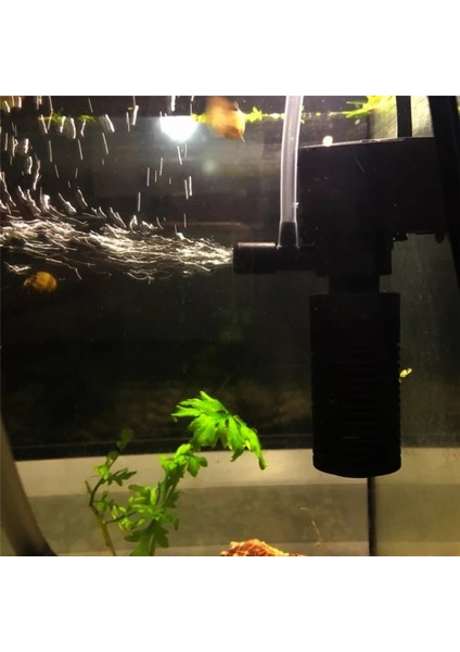 3W Tarzı Ab Fişi 220V Dahili Akvaryum Filtresi Oksijen Artırıcı Filtrasyon Su Pompası Mini Dalgıç Balık Tankı Filtresi Fit 60L-180L 200LH (Yurt Dışından) indirimleri