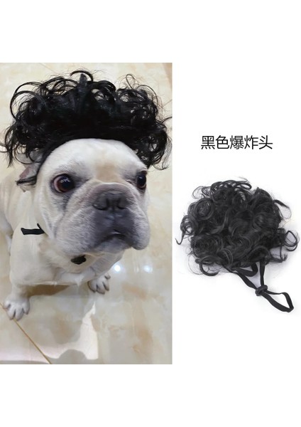 Menekşe Tarzı Noel Şapka Cadılar Bayramı Pet Kostüm Kedi Köpek Yavrusu Kostümleri Için Eşarp Hediye Yeni Yıl Santa Kış Cosplay Cadılar Bayramı Köpek Kedi Kaynağı (Yurt Dışından)