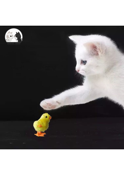 Rastgele Renk Stili Sevimli Kedi Oyuncakları Interaktif Peluş Kürk Pet Hayvan Oyuncak Sallama Hareketi Atlama Yürüyen Civcivler Hareketli Disket Yavru Kediler Köpekler Oyuncak Hediye (Yurt Dışından) fırsatları