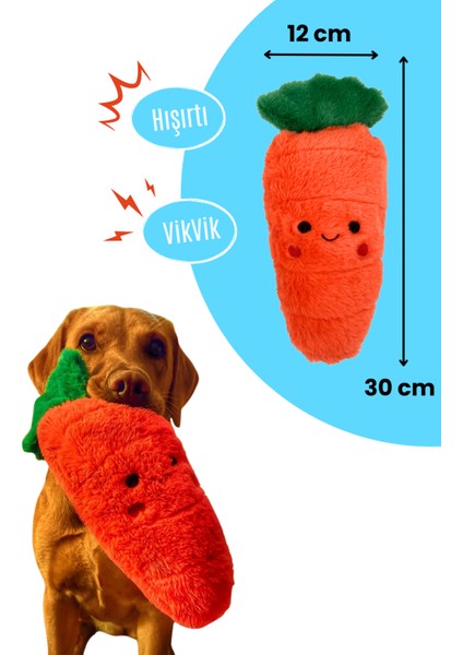 Peluş Köpek Oyuncak Seti 2 Adet - Peluş Tavşan ve Peluş Havuç Ses Çıkaran Köpek Oyuncakları fiyatları