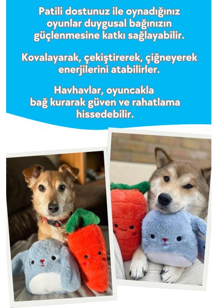 Peluş Köpek Oyuncak Seti 2 Adet - Peluş Tavşan ve Peluş Havuç Ses Çıkaran Köpek Oyuncakları indirimleri