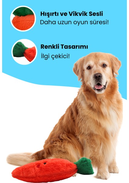 Peluş Köpek Oyuncak Seti 2 Adet - Peluş Tavşan ve Peluş Havuç Ses Çıkaran Köpek Oyuncakları