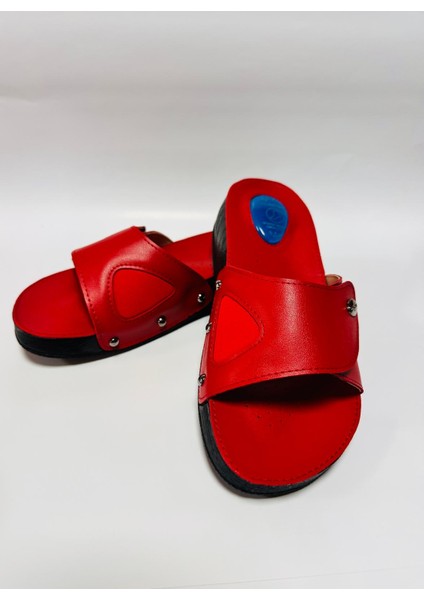 Jelli Topuk Dikeni Terliği fiyatları