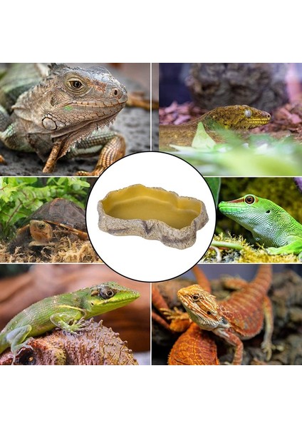 No.9 Tarzı Sürüngen Kayalık Yiyecek Kabı Kertenkele Sakallı Ejderha Su Dağıtıcısı Evcil Hayvan Kapları Kaçış Engelleme Minik Süperböcek Der Terrarium Peyzajlama (Yurt Dışından) indirimleri
