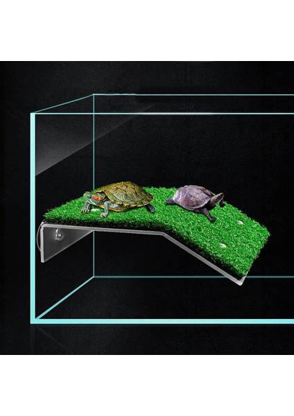 M Tarzı 3 Boyutlu Kaplumbağa Kurutma Platformu Kaplumbağa Köprüsü Simüle Çim Sürüngen Kaplumbağa Tırmanma Merdiveni Amfibiler Habitat Tank Dekorasyonu (Yurt Dışından)
