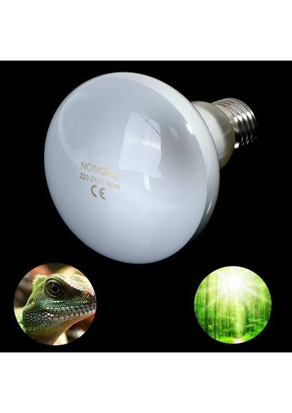 60W Tarzı Kaplumbağa Isıtma Uv Işık Ampul Reptil Lambası Sıcaklık Kontrol Cihazı (Yurt Dışından)