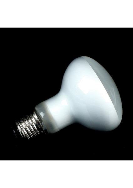 60W Tarzı Kaplumbağa Isıtma Uv Işık Ampul Reptil Lambası Sıcaklık Kontrol Cihazı (Yurt Dışından)