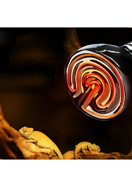 50W Tarzı Sıcak Işık Ampulleri Seramik Evcil Isıtma Lambası Far Kızılötesi Kertenkele Örümcek Sürüngen Kutu Isı Brooder Işık Evcil Hayvanları Sıcak Tutmak (Yurt Dışından)