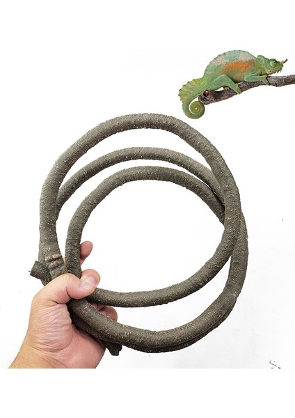 C Stili 1 Adet Terraryum Sürüngen Orman Sarmalı Kertenkele Esnek Orman Sarmalı Bükülebilir Yapay Sarmal Terraryum Dekor Sürüngen Evcil Hayvan Vivaryumu (Yurt Dışından) indirimleri