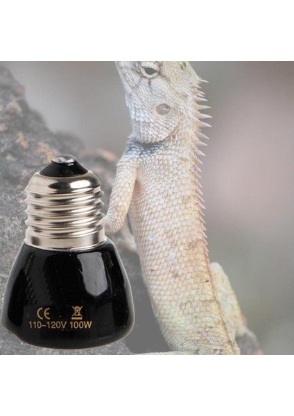 100W Tarzı E27 25W 50W 75W 100W Mini Kızılötesi Seramik Isıtıcı Lamba Ampulü Siyah Kürke Evcil Hayvan Yavru Ekipmanı Için Isı Lambası Bulb (Yurt Dışından)