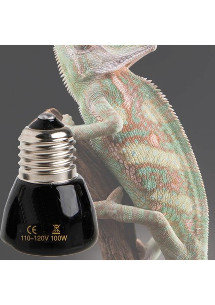 100W Tarzı E27 25W 50W 75W 100W Mini Kızılötesi Seramik Isıtıcı Lamba Ampulü Siyah Kürke Evcil Hayvan Yavru Ekipmanı Için Isı Lambası Bulb (Yurt Dışından)