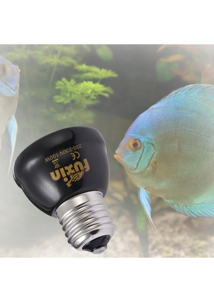 100W Tarzı Kertenkele Isıtma Lambası Infrared Seramik Isıtma Lambası Evcil Hayvan Isıtma Lambası - Ürün Açıklaması: Yavru Kertenkele Isıtma Lambası (Yurt Dışından) indirimleri