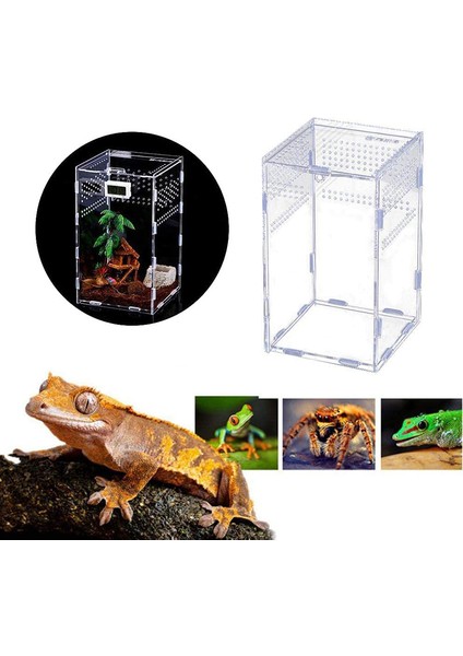 15X15X15CM Tarzı Derlenmiş Akrilik Sürüngen Üreme Kutusu Tank Terraryum Örümcek Kertenkele Akrep Amfibi Nefes Alabilen Terraryum Evcil Hayvan Aksesuarları (Yurt Dışından) indirimleri