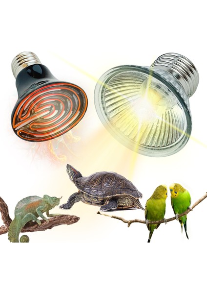 Seramik Ampul 75W Tarzı E27 Sürüngen Lambası Kaplumbağa Isıtma Lambası Mini Evcil Isıtma Ampibi Lizard Termostat Ultraviyole Lamba Kızıl Seramik Isıtıcı (Yurt Dışından)