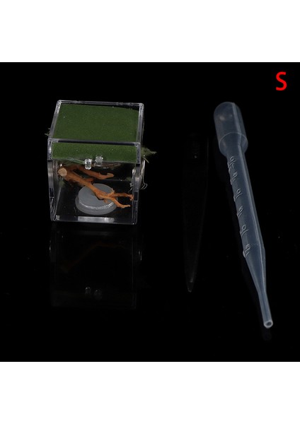 3.5x3.5x3.5cm Stili 1 Adet Siyah Dul Örümcek Küçük Böcek Terraryum Şeffaf Sürüngen Üretim Kutusu Montaj Böcek Üretim Kutusu Pet Ürünleri Malzemeleri (Yurt Dışından)