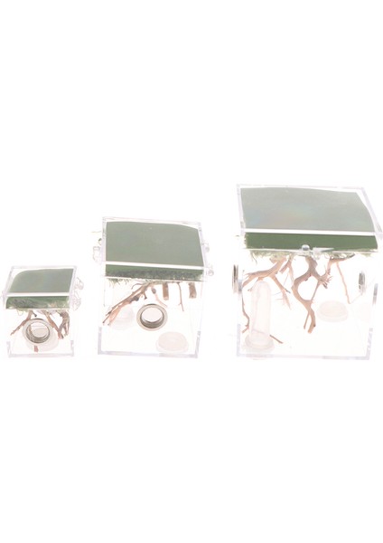 3.5x3.5x3.5cm Stili 1 Adet Siyah Dul Örümcek Küçük Böcek Terraryum Şeffaf Sürüngen Üretim Kutusu Montaj Böcek Üretim Kutusu Pet Ürünleri Malzemeleri (Yurt Dışından)