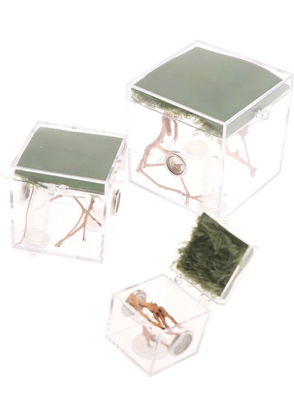 3.5x3.5x3.5cm Stili 1 Adet Siyah Dul Örümcek Küçük Böcek Terraryum Şeffaf Sürüngen Üretim Kutusu Montaj Böcek Üretim Kutusu Pet Ürünleri Malzemeleri (Yurt Dışından)