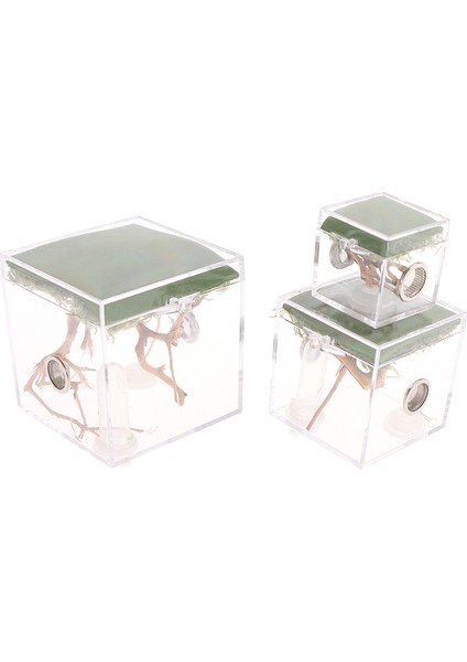 3.5x3.5x3.5cm Stili 1 Adet Siyah Dul Örümcek Küçük Böcek Terraryum Şeffaf Sürüngen Üretim Kutusu Montaj Böcek Üretim Kutusu Pet Ürünleri Malzemeleri (Yurt Dışından)