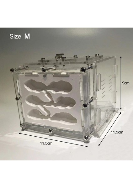 M Tarzı Ev Yapımı Akrilik Karınca Çiftliği Jips Ekolojik Karınca Yatağı Evcil Karınca Yuvası Atölyesi ile Dinlenme Alanı Böcek Köşkü (Yurt Dışından)