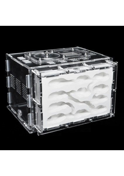 M Tarzı Ev Yapımı Akrilik Karınca Çiftliği Jips Ekolojik Karınca Yatağı Evcil Karınca Yuvası Atölyesi ile Dinlenme Alanı Böcek Köşkü (Yurt Dışından) fiyatları