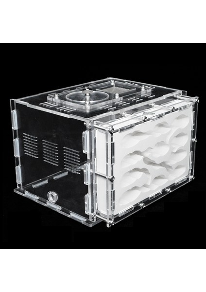 M Tarzı Ev Yapımı Akrilik Karınca Çiftliği Jips Ekolojik Karınca Yatağı Evcil Karınca Yuvası Atölyesi ile Dinlenme Alanı Böcek Köşkü (Yurt Dışından) indirimleri