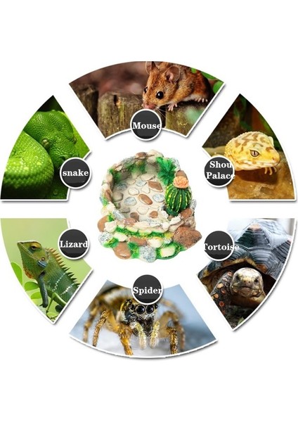 Q3 Stili Sürüngen Yiyecek ve Su Kase Taş Kase Reçine Kaçış Engelleme Solucan Tabak Kertenkele Gecekondu Kase Terraryum Dekor Sürüngen Aksesuarları (Yurt Dışından)