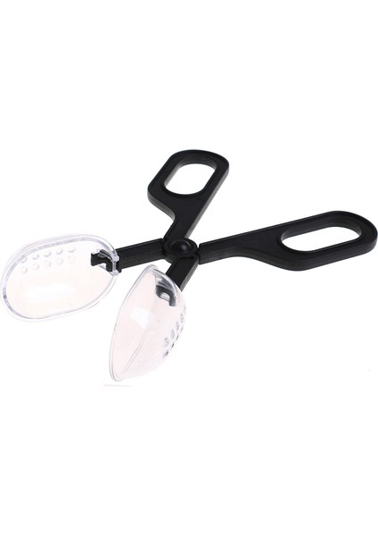 1 Adet Rastgele Stil Sürüngen Terraryum Kertenkele Plastik Maşa Cımbız Evcil Hayvan Yetiştirme Aracı Çocuk Okul Bitki Böcek Biyoloji Çalışma Aracı (Yurt Dışından) fiyatları