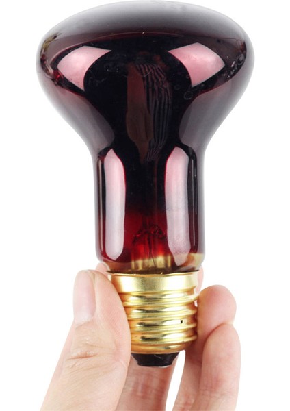 50W Tarzı 60W W E27 Evcil Hayvan Isıtma Lambası Kızılötesi Seramik Isıtıcı Isı Lambası Evcil Hayvan Kümes Sürüngen Lambası LED Kırmızı Sürüngen Gece Lambası (Yurt Dışından) modelleri