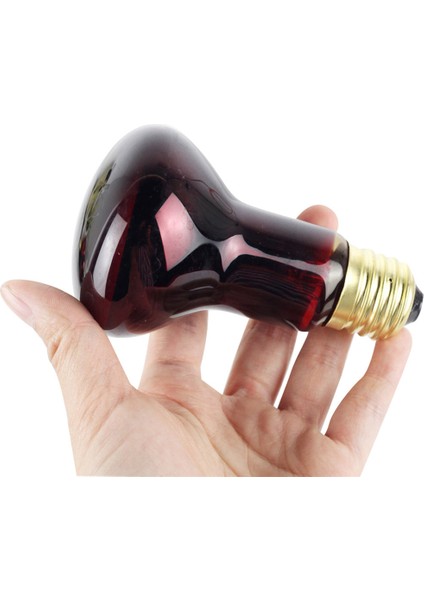 50W Tarzı 60W W E27 Evcil Hayvan Isıtma Lambası Kızılötesi Seramik Isıtıcı Isı Lambası Evcil Hayvan Kümes Sürüngen Lambası LED Kırmızı Sürüngen Gece Lambası (Yurt Dışından) fırsatları
