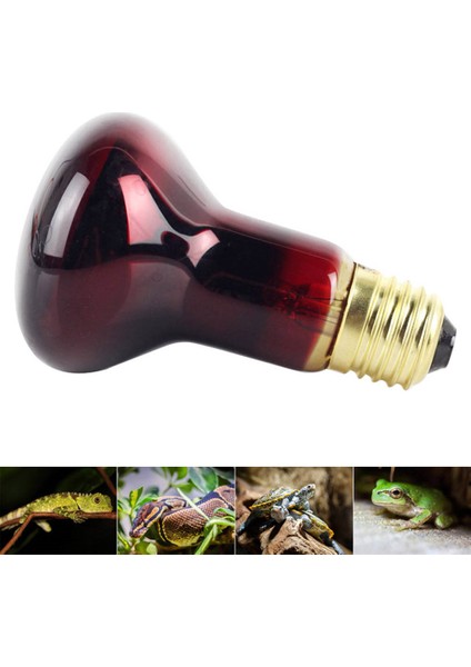 50W Tarzı 60W W E27 Evcil Hayvan Isıtma Lambası Kızılötesi Seramik Isıtıcı Isı Lambası Evcil Hayvan Kümes Sürüngen Lambası LED Kırmızı Sürüngen Gece Lambası (Yurt Dışından) indirimleri