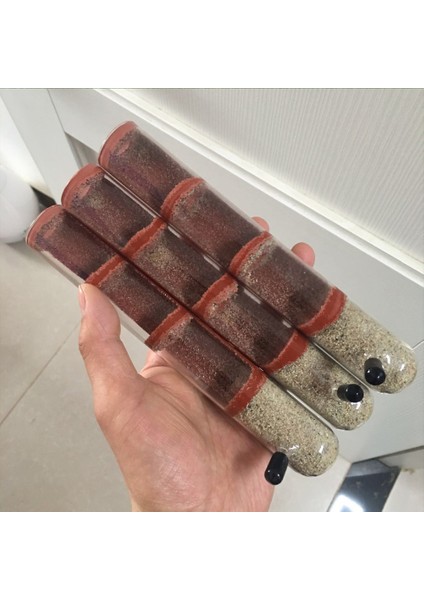 Tüp Boyutu 20-200MM Stili Dıy Ekolojik Karınca Çiftliği Bambu Deneme Tüpü Karınca Yuvası Çeşitli Boyutlu Tüpler Karınca Evi Evcil Hayvan Karınca Yuvanı Atölyesi Kraliçe Karınca Evi (Yurt Dışından) modelleri