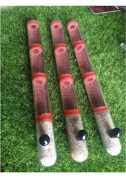 Tüp Boyutu 20-200MM Stili Dıy Ekolojik Karınca Çiftliği Bambu Deneme Tüpü Karınca Yuvası Çeşitli Boyutlu Tüpler Karınca Evi Evcil Hayvan Karınca Yuvanı Atölyesi Kraliçe Karınca Evi (Yurt Dışından) indirimleri