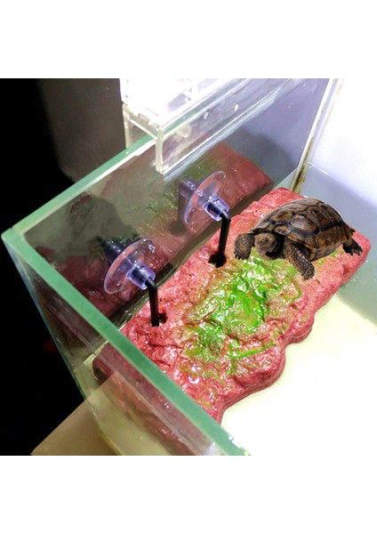No.6 Tarzı Tortoise Terrace Kaplumbağa Adası Yüzen Ada Tasarımı Basit Kurulumlu Bakalit Amfibik Tırmanma Platformu Balık Kasesi Için (Yurt Dışından)