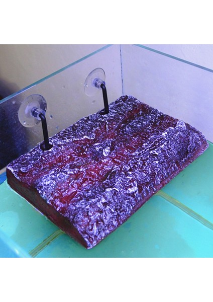 No.2 Tarzı Tortoise Terrace Kaplumbağa Adası Yüzen Ada Tasarımı Basit Kurulumlu Bakalit Amfibik Tırmanma Platformu Balık Kasesi Için (Yurt Dışından) indirimleri