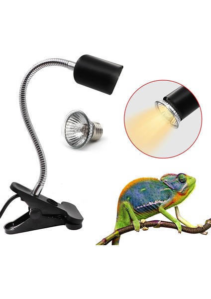50W ve Ingiltere Tutucu Stili Kaplumbağa Isı Lambası Tutucu Termometre Higrometre Kaplumbağa Isıtma 220V Kertenkele Isı Lambası Ampulü - Ürün Açıklaması (Yurt Dışından)