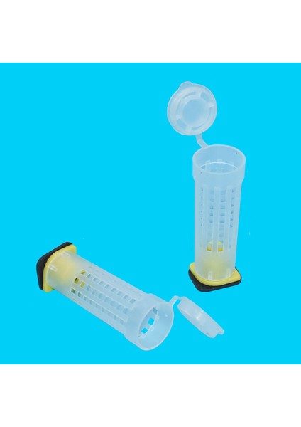 Beyaz Stil M Beden 100 Takım Arı Ekipmanı Kraliçe Kafesi 7.6cm 2.6cm Çap Yeni Arıcılık Ekipmanı Böcekler Aletleri Arı. (Yurt Dışından)